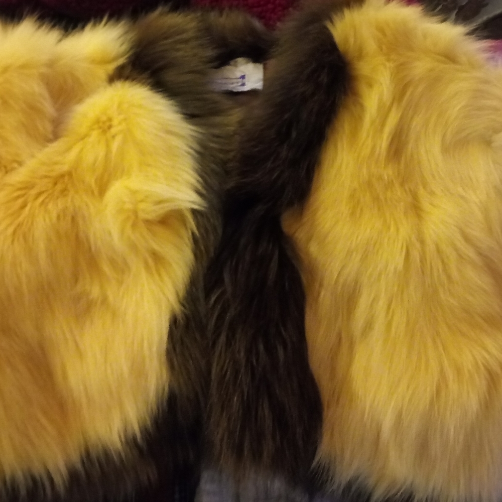 Fur vest
